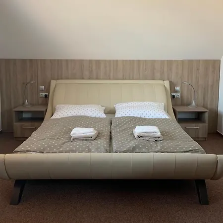 Penzion Cavisov Guest house