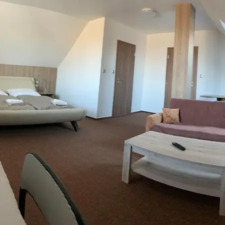 Penzion Cavisov Guest house