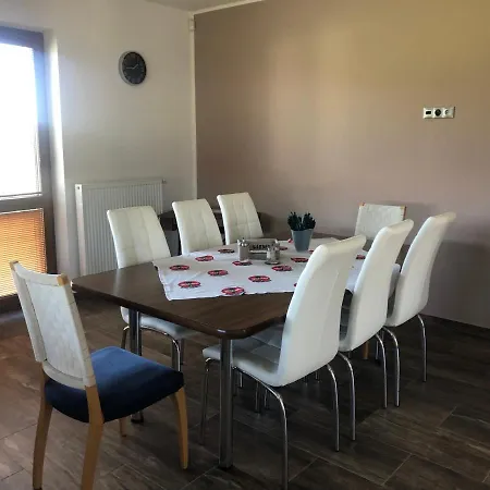 Guest house Penzion Cavisov 3*