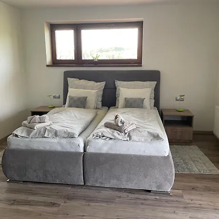 Guest house Penzion Cavisov