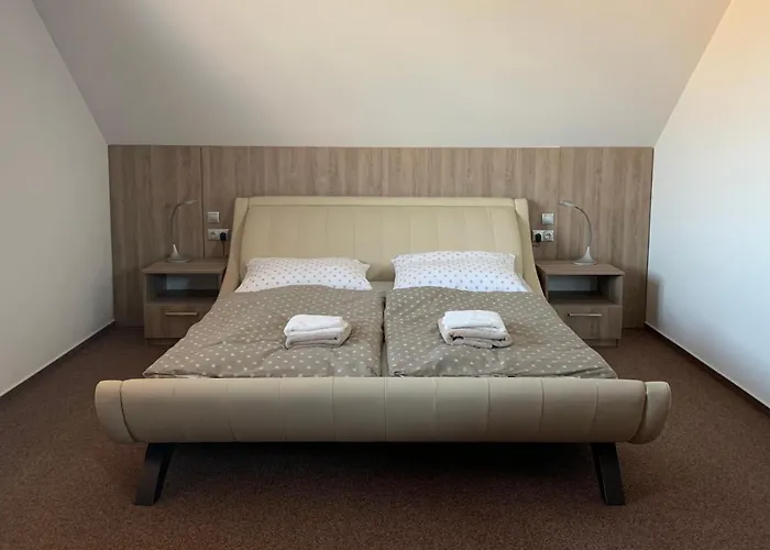 Penzion Cavisov Guest house