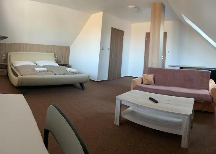 Penzion Cavisov Guest house