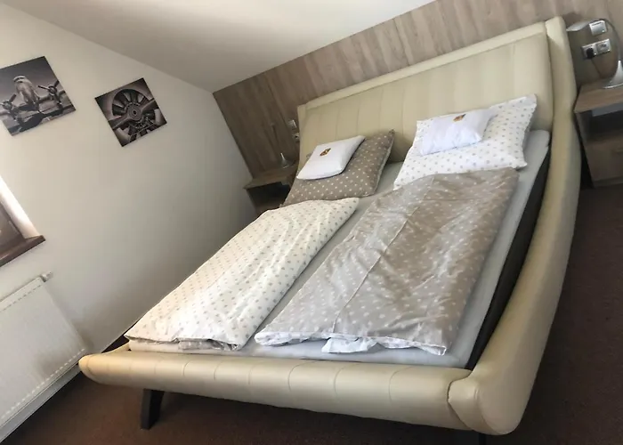Penzion Cavisov Guest house 3*