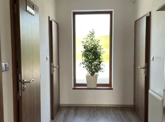 Penzion Cavisov Guest house